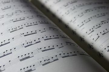 Naklejka premium Music book