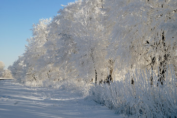 winter