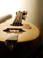 Mandolin Closeup