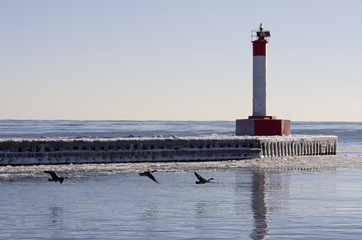 Lighthouse in winter with Canada Geese