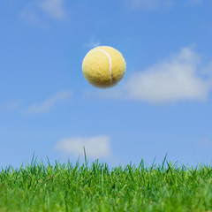Tennis ball