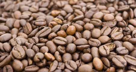 coffee beans background