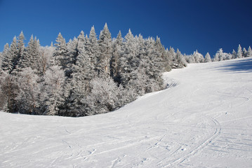 Fototapeta na wymiar Winter hill with ski tracks