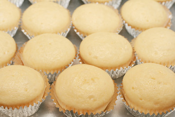 cup cakes