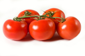 Fresh Tomatoes on the Vine