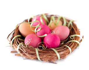 easter egg in nest isolated on white
