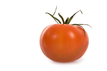 Red Tomato