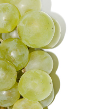 Grape