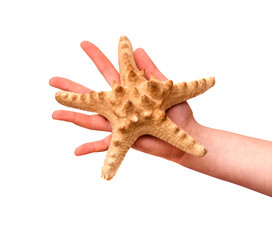 Girl's hand holding starfish isolated on white background