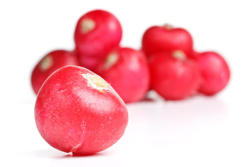 Fresh radish