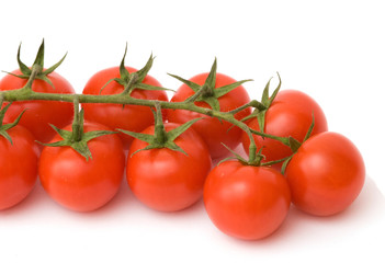 Closeup of branch of tomatoes isolated on white background
