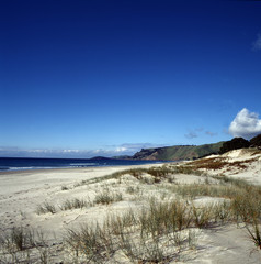 New Zealand beach