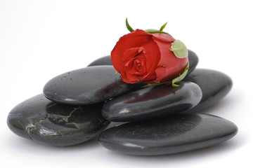 Stones with red rose