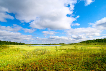 grass and north mountain