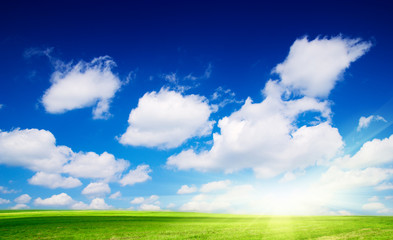 Obraz na płótnie Canvas perfect meadow and perfect blue sky