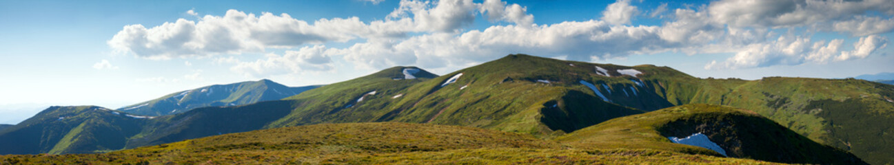 Fototapeta premium Summer mountain view