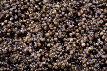 Caviar black