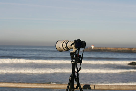 Fototapeta téléobjectif