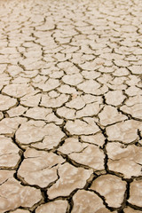 Dry ground