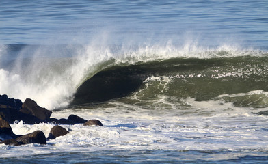 Fototapeta premium piękna fala
