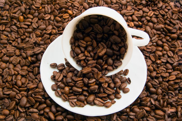 coffee beans in the cup