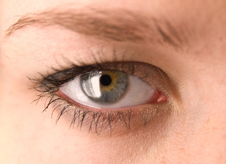 Fototapeta na wymiar female eye macro