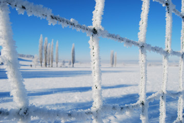 Soccer Goal in Winter