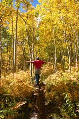 Fototapeta premium Balance in Nature