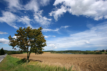 Fototapeta na wymiar Rural landscape in Czech Republic