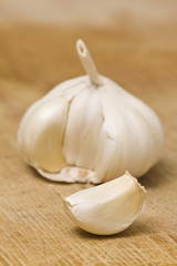 garlic