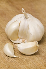 garlic