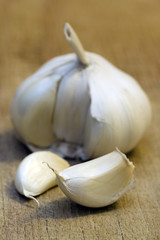 garlic