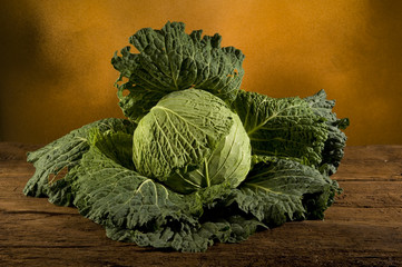 cavolo