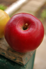 Red apple