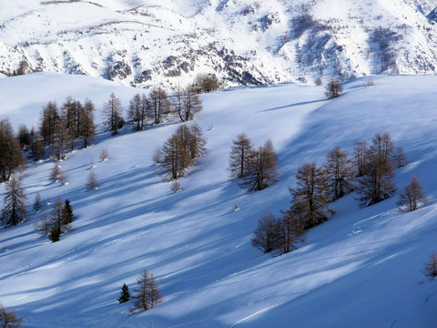 paysage d'hiver