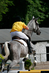 Obraz premium Equitation : saut d'obstacle