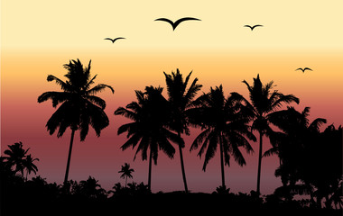 Tropical sunset, palm trees