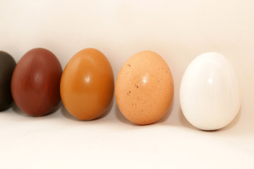 oeufs