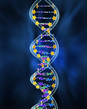 DNS-Molekuel, Illustration