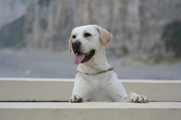 Coucou !