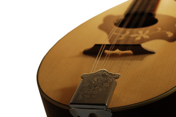 mandolin closeup