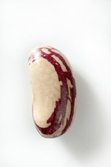 Beans macro at studio white background