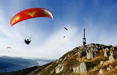 Paragliders