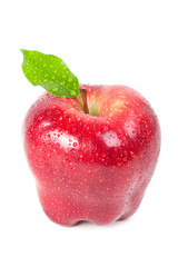 Red delicious apple
