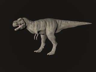 Obraz na płótnie Canvas Tyrannosaurus Rex Dinosaur