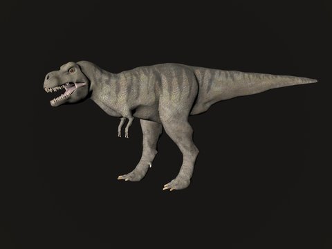 Tyrannosaurus Rex Dinosaur