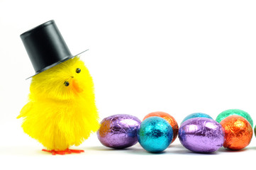 Schokoladeneier mit küken