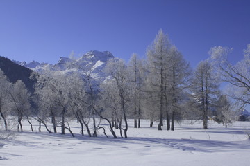 Winterlandschaft bei Sils- Maria