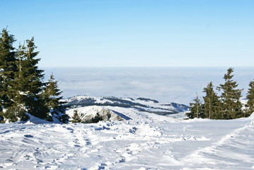 Obraz premium mountains under snow in the winter