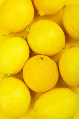 Colors of nature. Fresh lemons background